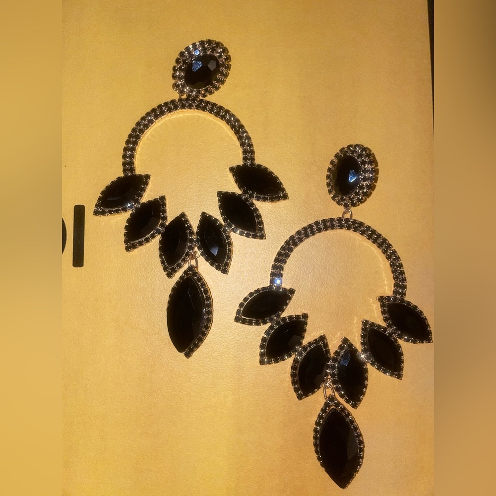 Beautiful earrings. Dress up or down